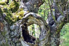 durchblick-2
