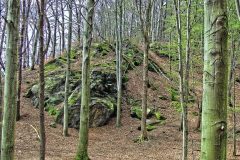 kleinerFelsen-o-Kopie
