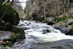 liebgrund-2