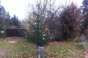 Der Eier-Weihnachtsbaum